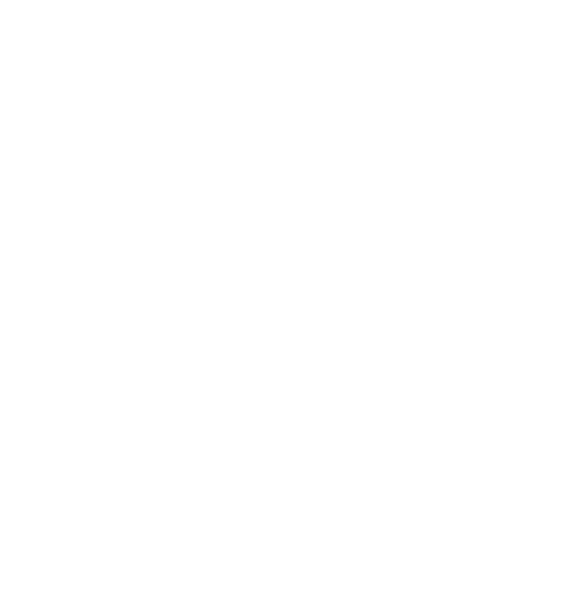 values-1