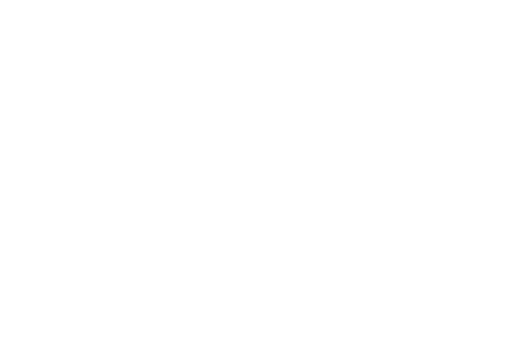 governance-structure